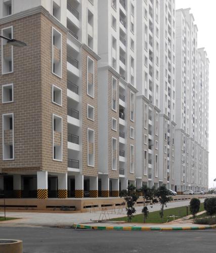 Images for Elevation of Alliance Orchid Springs orchid-springs Images for Elevation of Alliance Orchid Springs