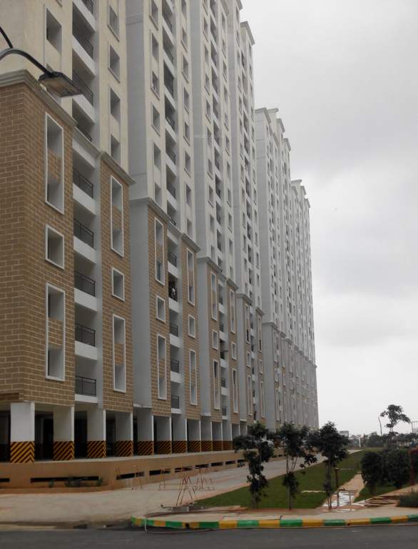 orchid springs Images for Elevation of Alliance Orchid Springs