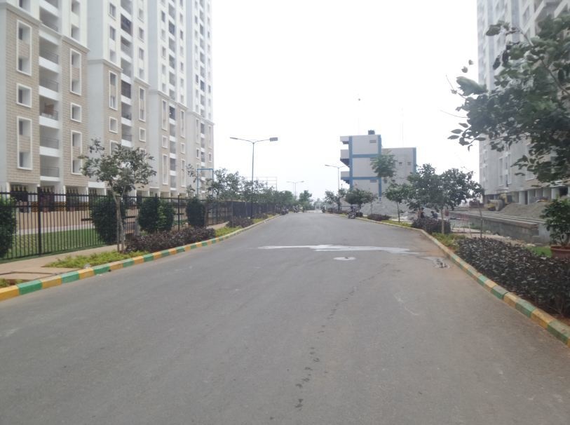 Alliance Orchid Springs