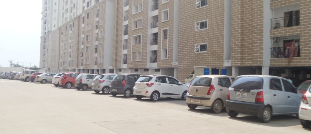 Alliance Orchid Springs