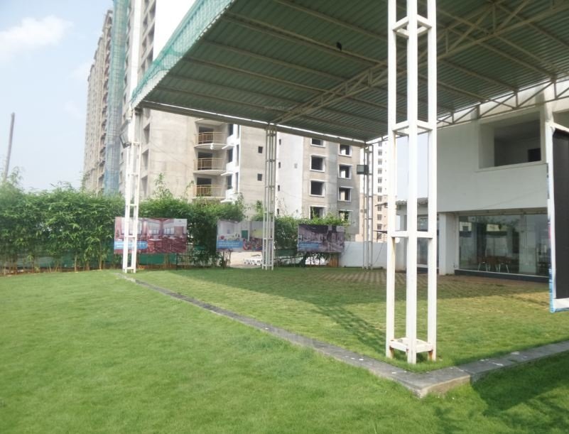 Alliance Orchid Springs