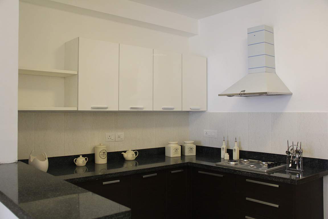 orchid springs Images for Main Other of Alliance Orchid Springs