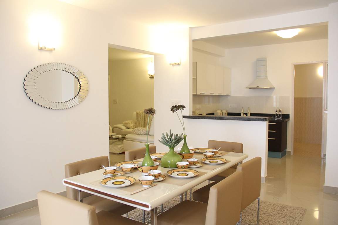 orchid springs Images for Main Other of Alliance Orchid Springs