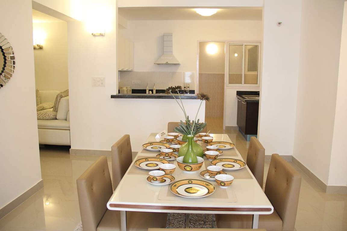 orchid springs Images for Main Other of Alliance Orchid Springs