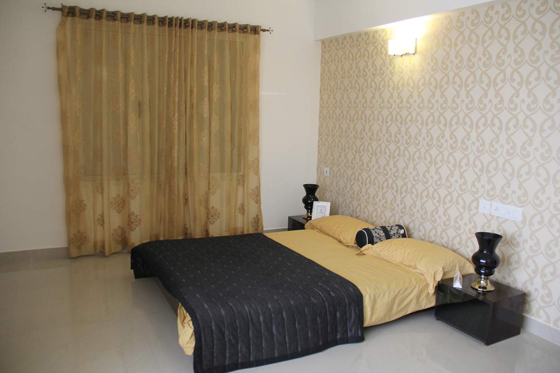 orchid springs Images for Main Other of Alliance Orchid Springs