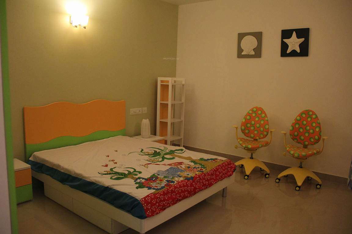 orchid springs Images for Main Other of Alliance Orchid Springs