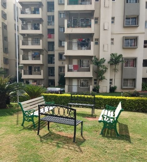  iris Senior Citizen Sitout