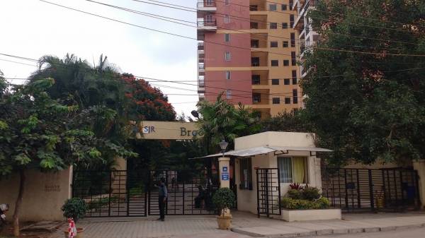  sjr-brooklyn Elevation