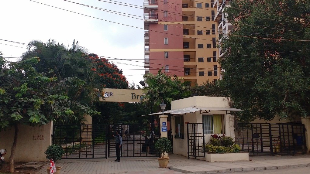  sjr brooklyn Elevation