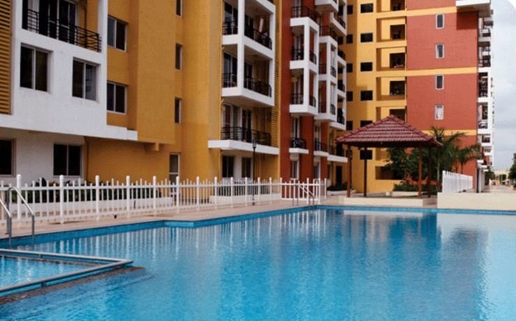  sjr brooklyn Swimming Pool