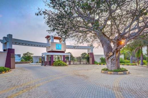 mist-valley Elevation Elevation