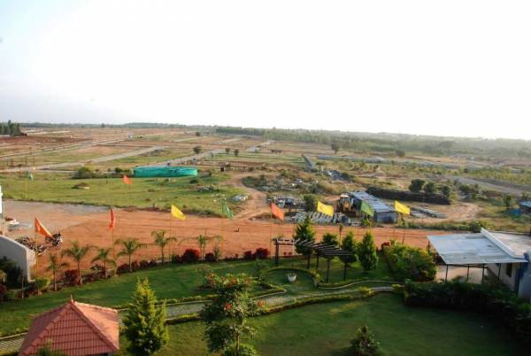 Images for Main Other of Concorde Mist Valley