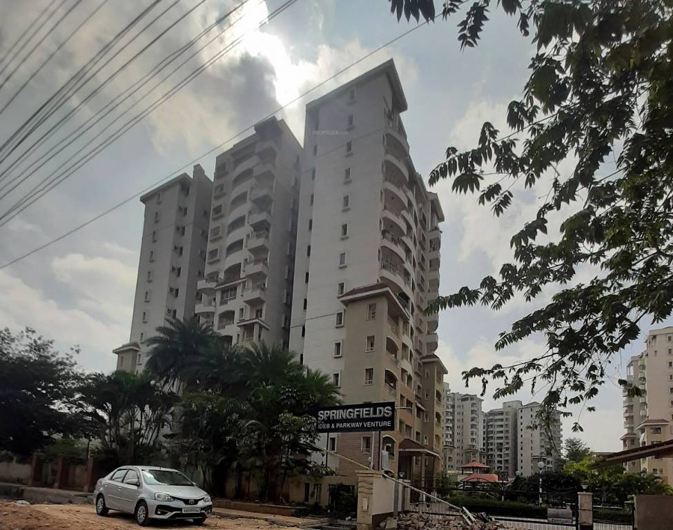 springfields Elevation