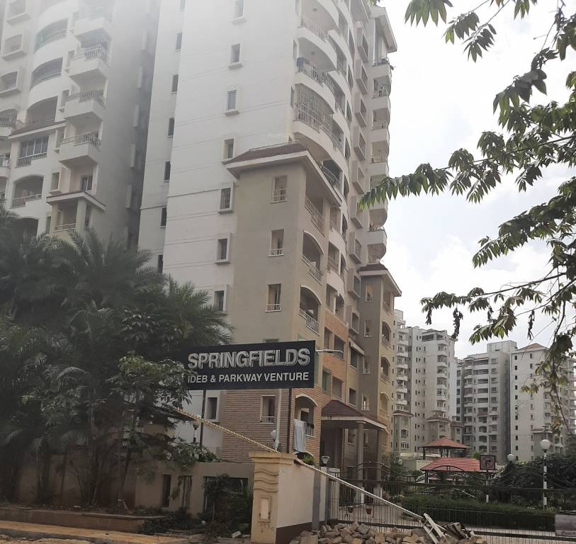 springfields Elevation