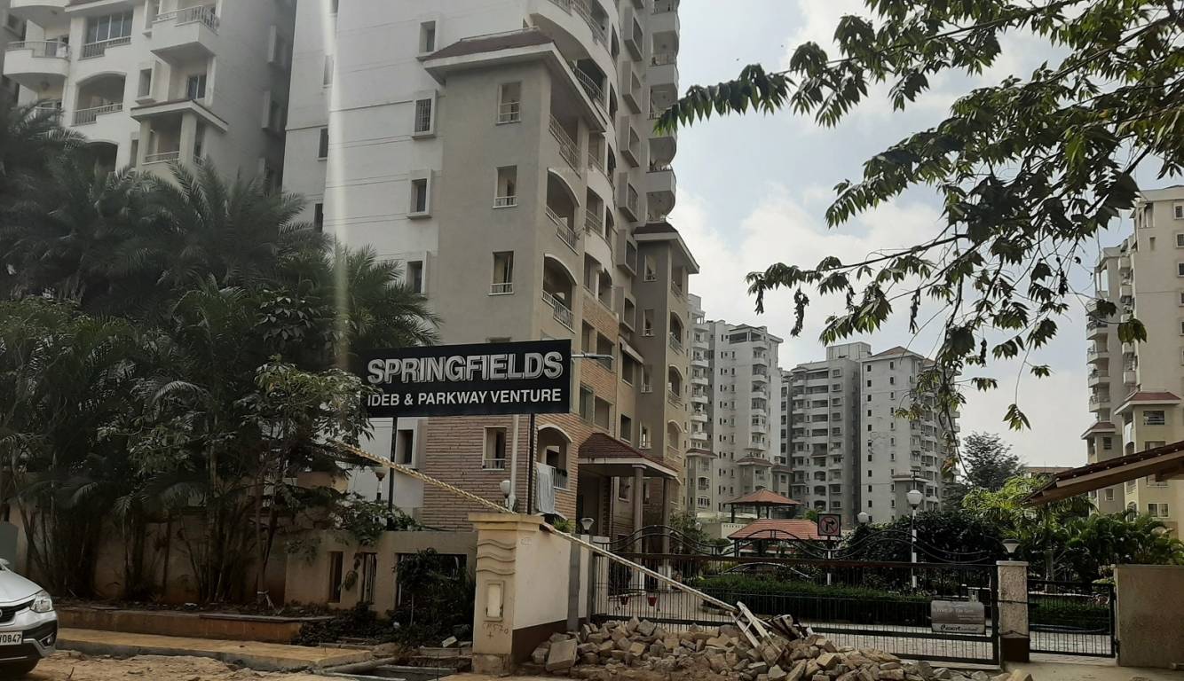 springfields Elevation