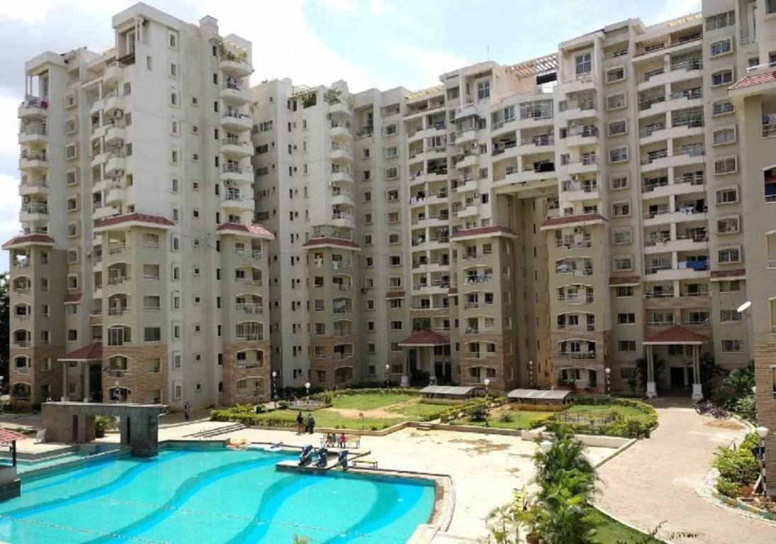 springfields Elevation