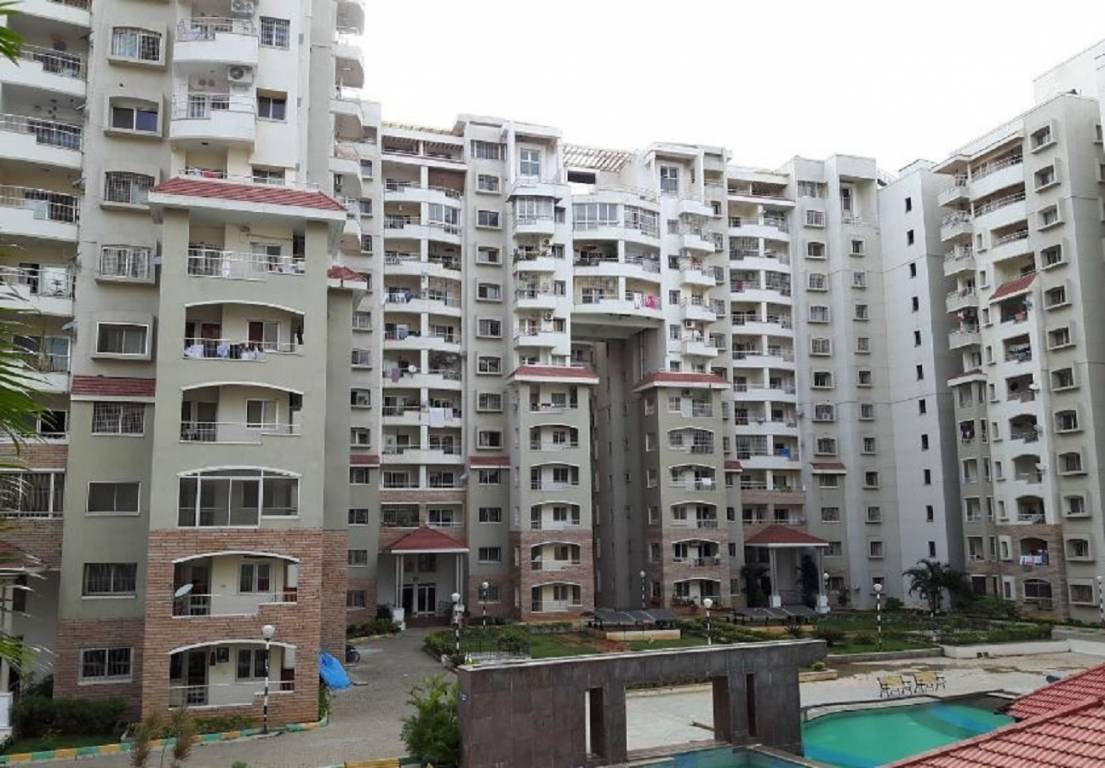 springfields Elevation