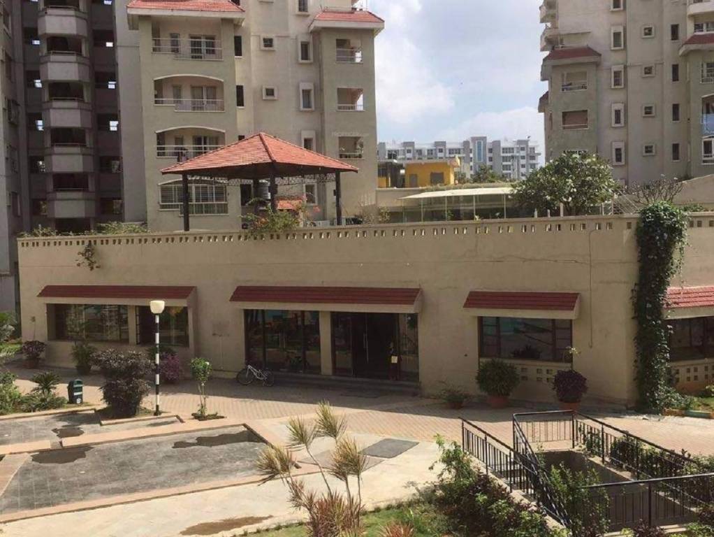 springfields Club House