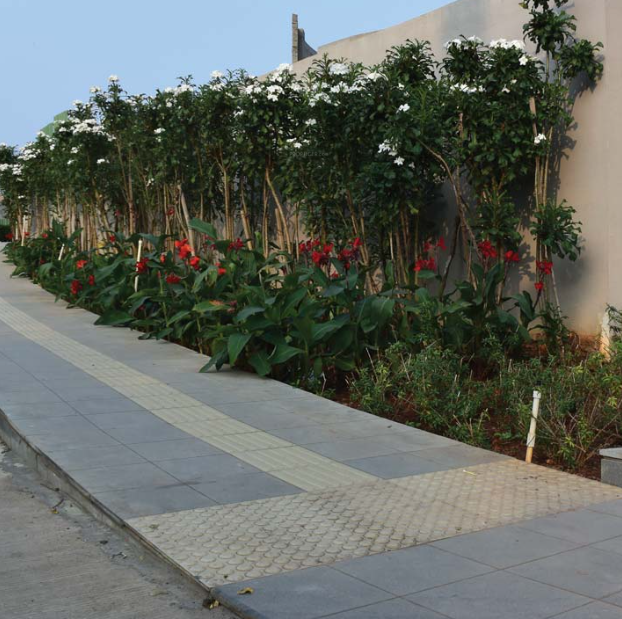  eon homes Paved Compound