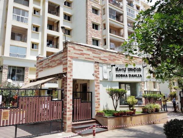 Gated Community dahlia Gated Community