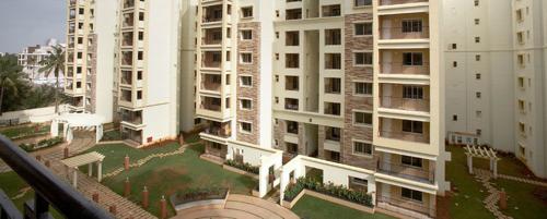 Landscape Garden and Tree Planting dahlia Landscape Garden and Tree Planting