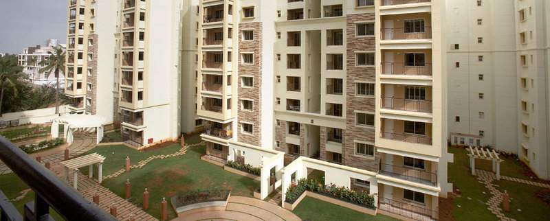 dahlia Landscape Garden and Tree Planting