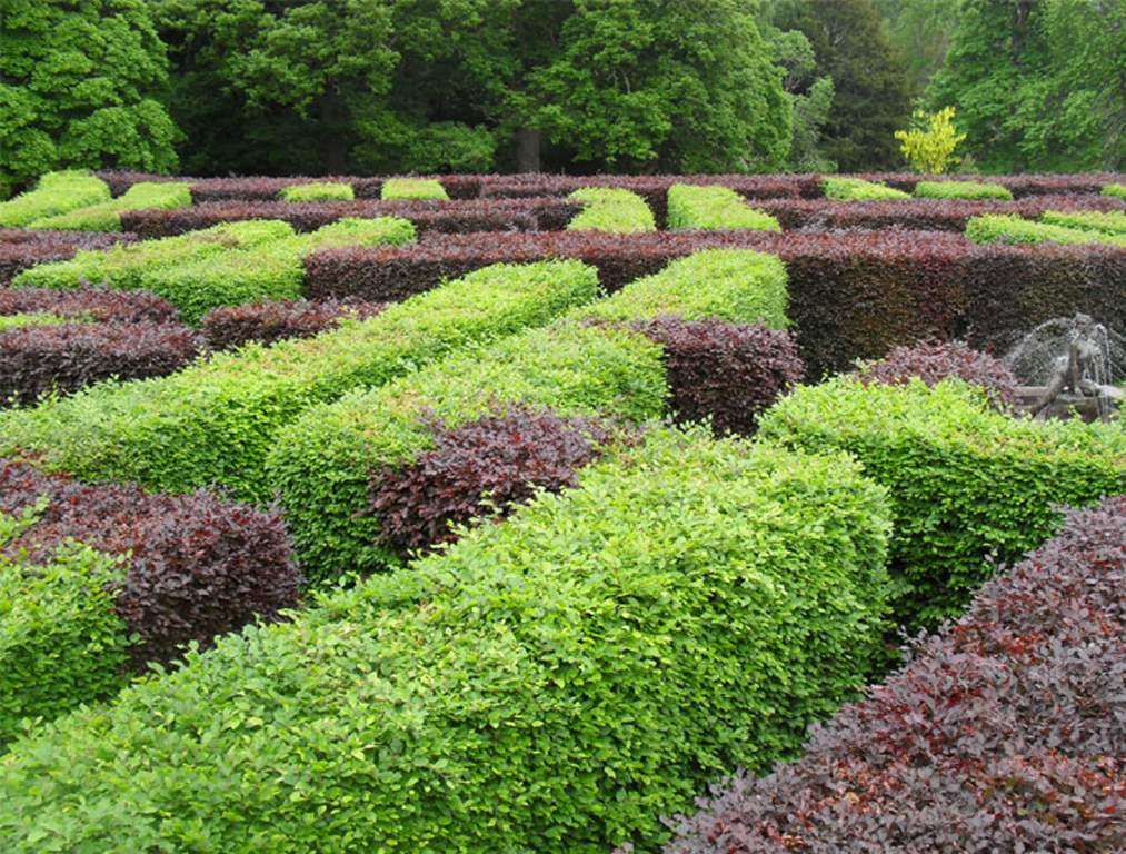 Images for Amenities of Shriram Signiaa