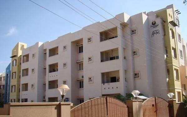 palms Images for Project