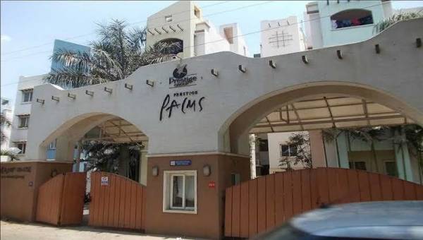 Images for Project palms Images for Project