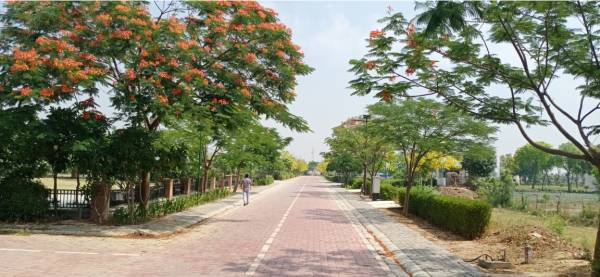 Others aranya-city Others