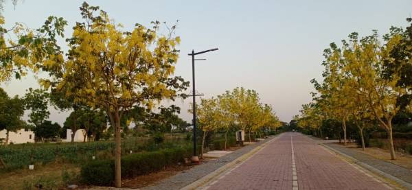 Others aranya-city Others