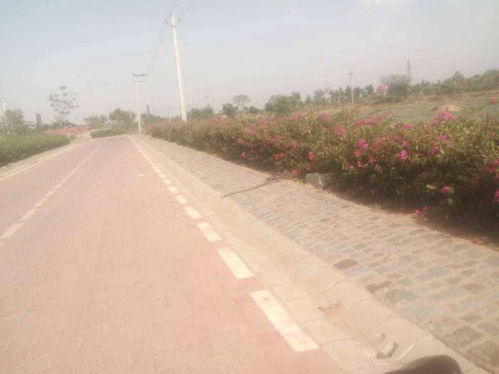 Images for mainOther