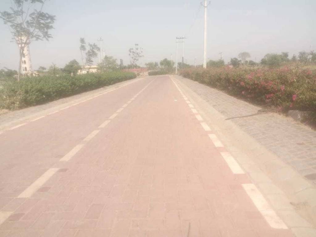 Images for mainOther