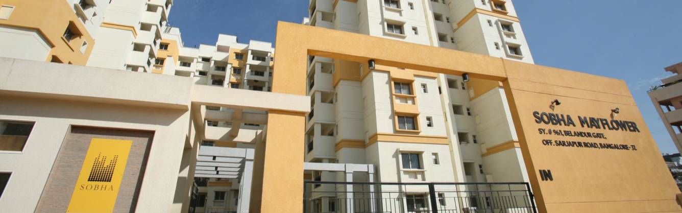  mayflower Images for Project