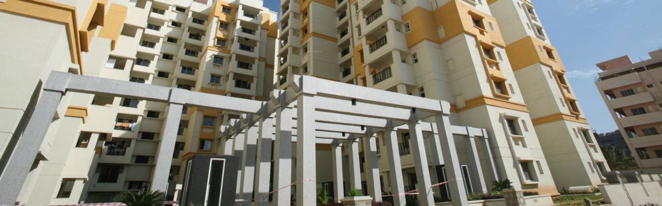  mayflower Images for Project