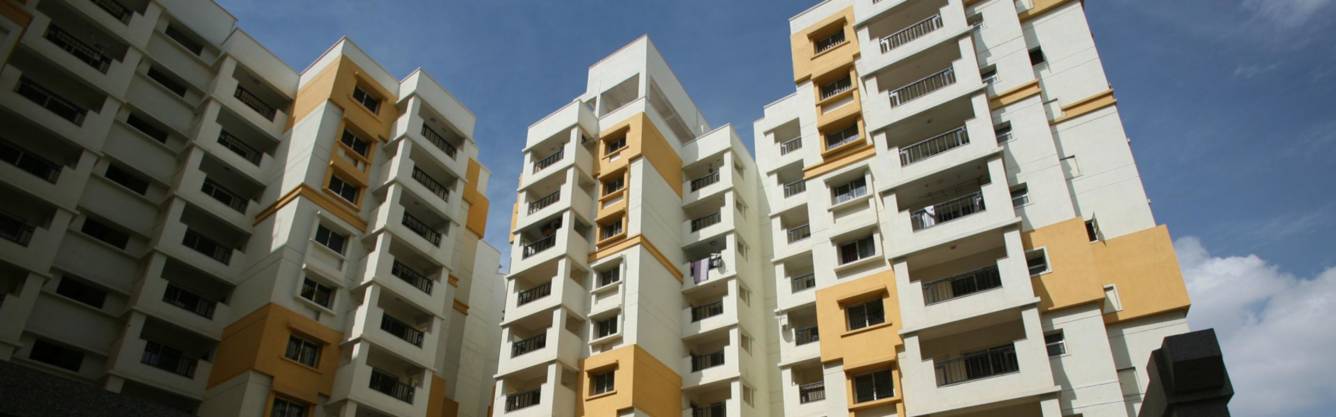  mayflower Images for Project