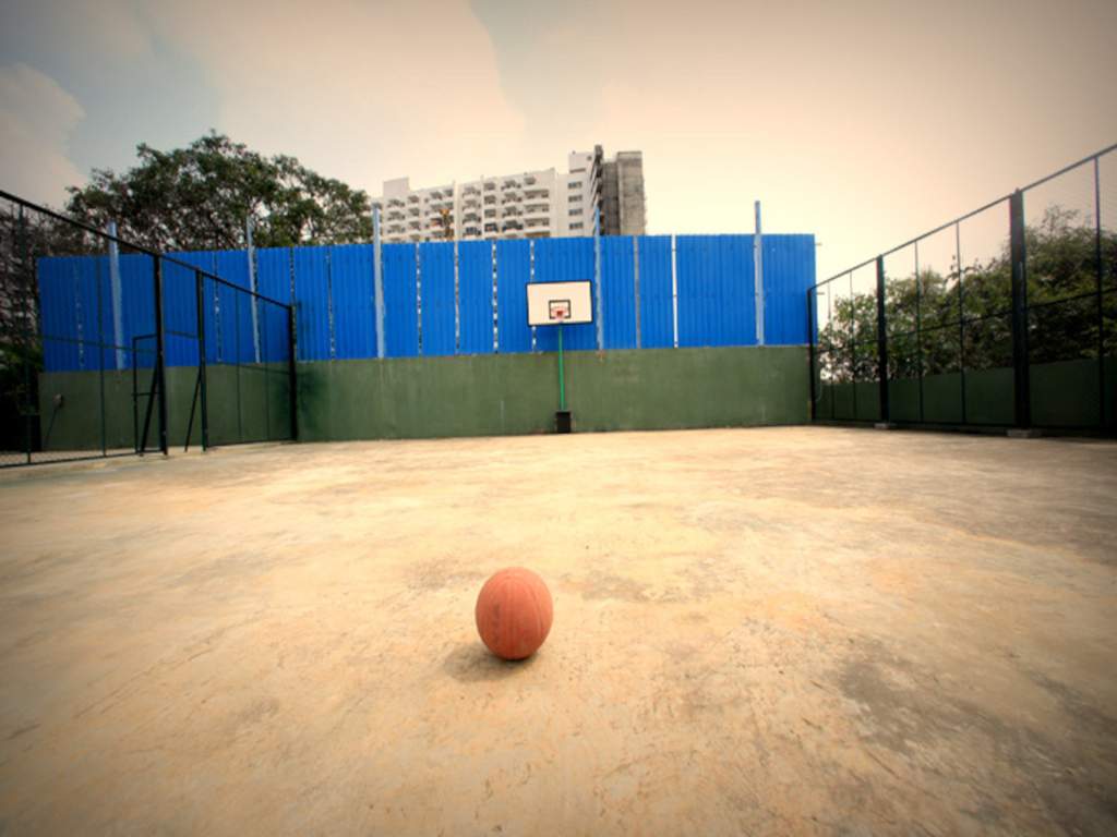  viva Basketball Court