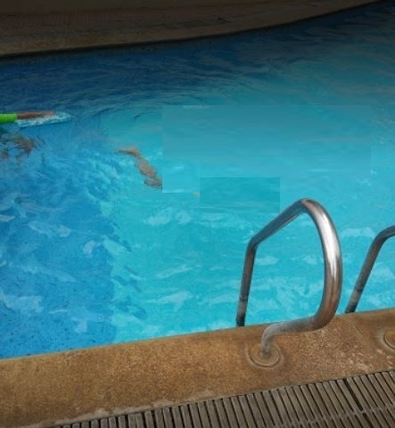 Swimming Pool monarda Swimming Pool