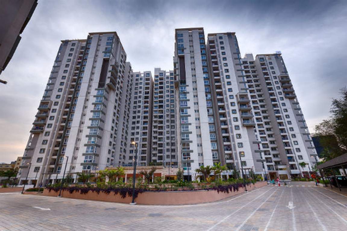 senorita Images for Elevation of Salarpuria Sattva Senorita