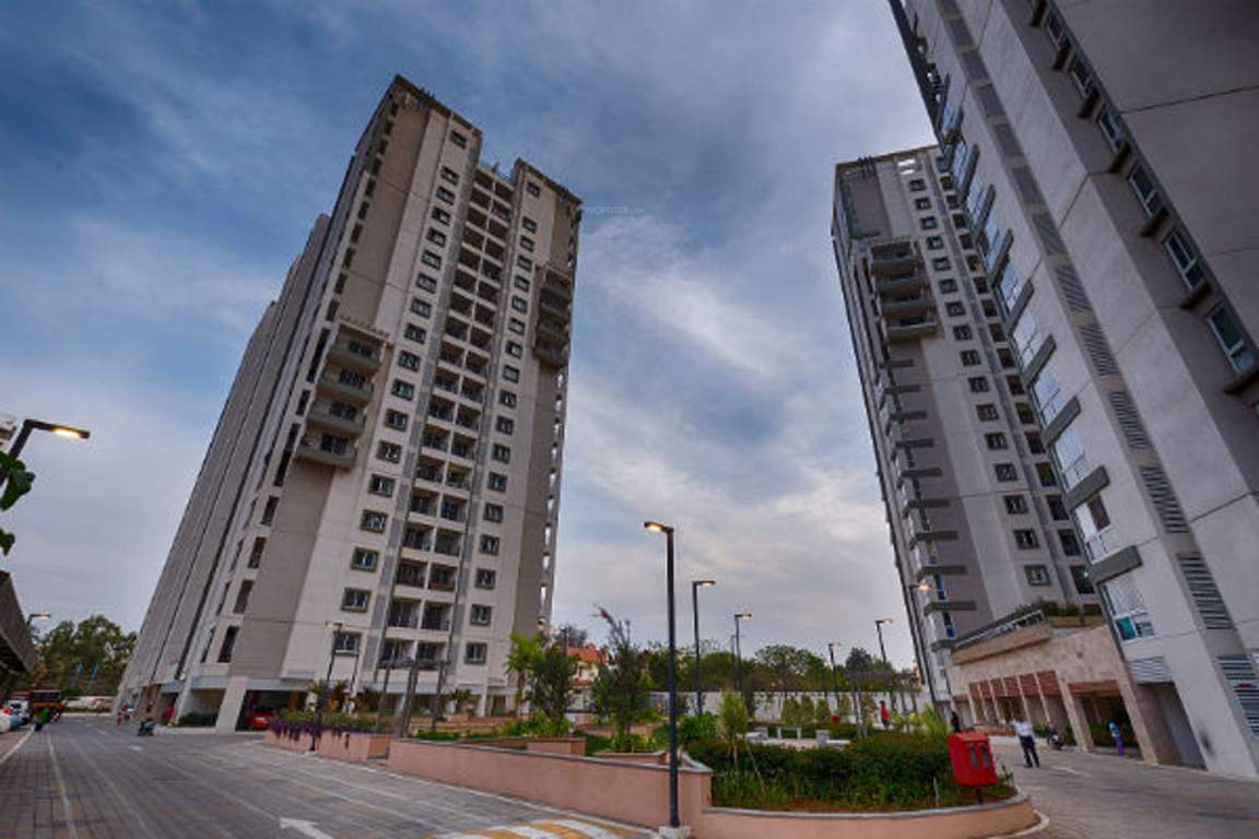 senorita Images for Elevation of Salarpuria Sattva Senorita