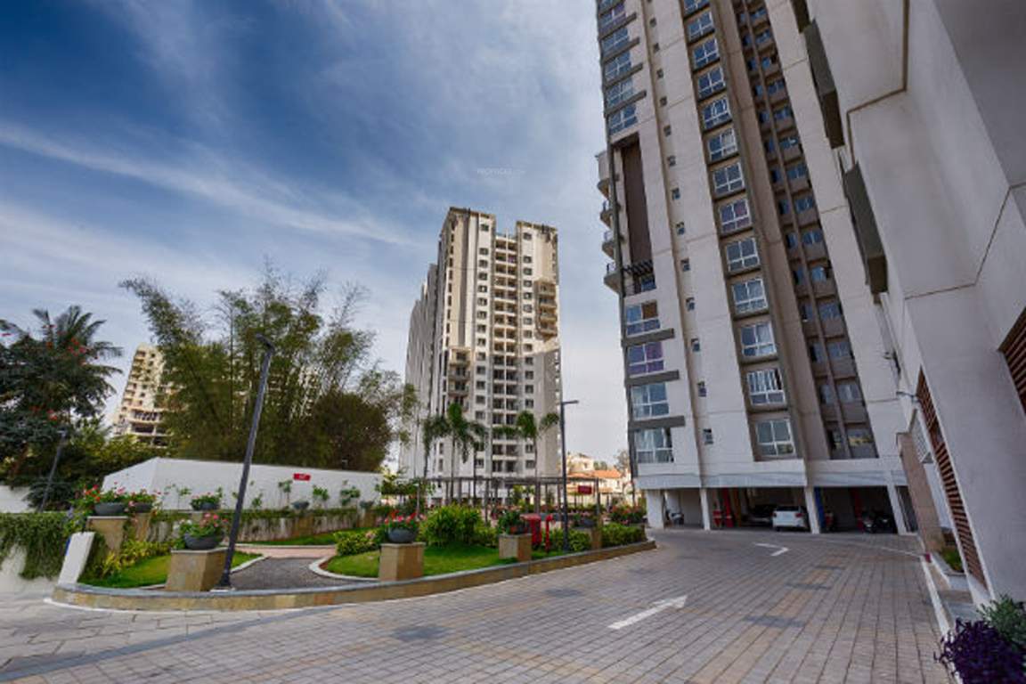 senorita Images for Elevation of Salarpuria Sattva Senorita