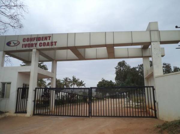 Images for Main Other of Confident Ivory Coast