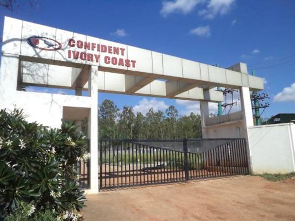 Images for Main Other of Confident Ivory Coast