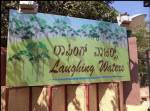  laughing-waters Elevation