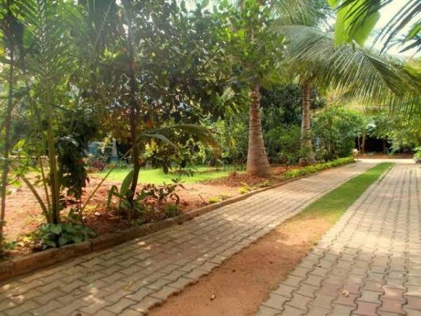  laughing-waters Others