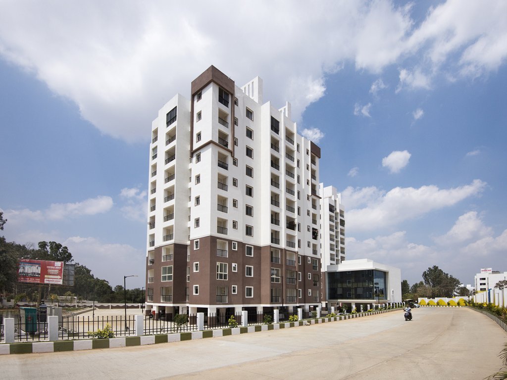 Images for Elevation of Confident Aquila