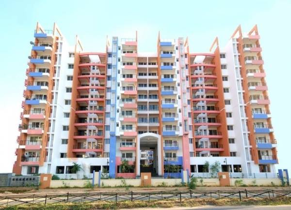  spring-beauty Elevation