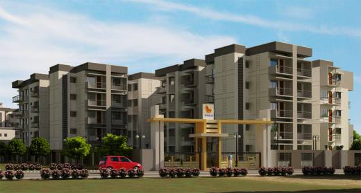 viola Elevation Elevation