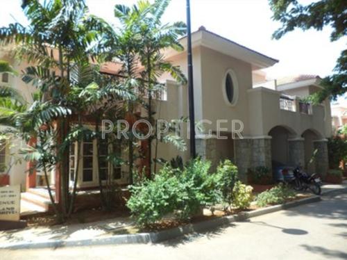  ozone Images for Elevation of Prestige Ozone