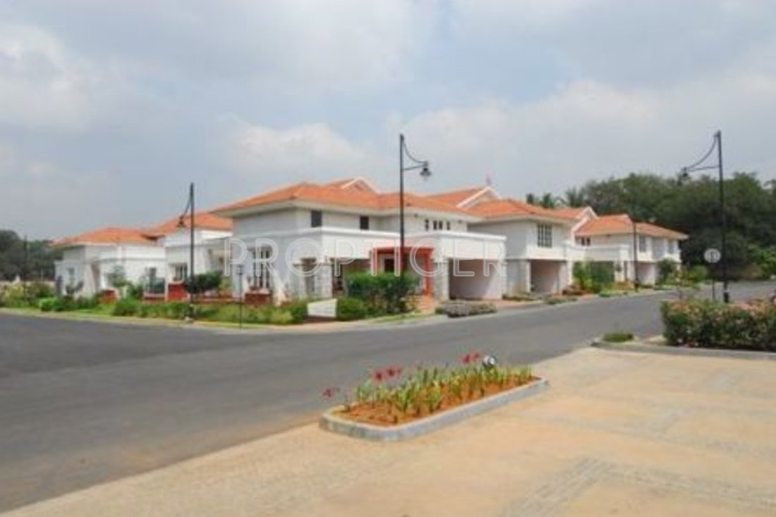  ozone Images for Elevation of Prestige Ozone